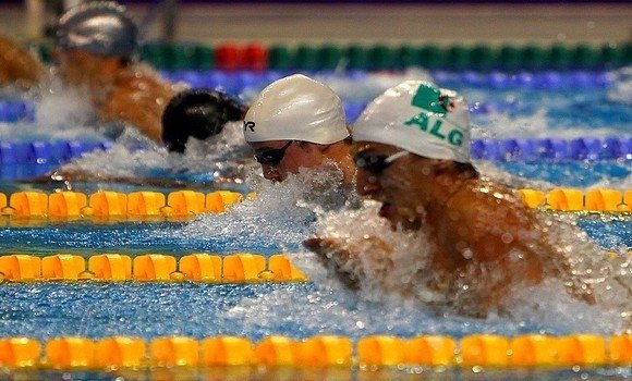 Jeux africains 2019- Natation: l’Algérie décroche 5 médailles dont deux en or