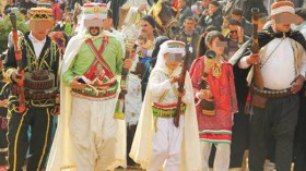 يجمعنا الإسلام وتفرقنا الأنساب ورقم الولاية