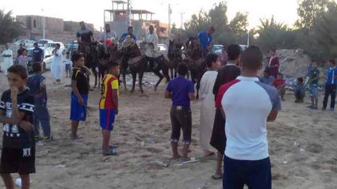 نشاط تربية الخيول مهدّد بالزوال في الوادي