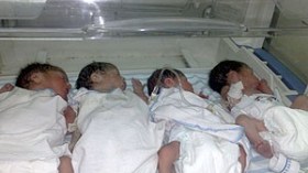 ولادة أربعة توائم بالبليدة