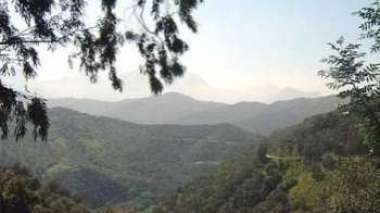 Un membre important d'Aqmi tué en Kabylie