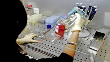 Convention laboratoire-sécurité sociale : lancement de la gratuité des analyses médicales avant fin 2012