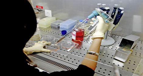 Convention laboratoire-sécurité sociale : lancement de la gratuité des analyses médicales avant fin 2012