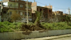 Algeria: Kadiria bomb was remotely controlled