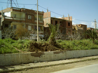 Algeria: Kadiria bomb was remotely controlled