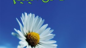 أيتام‮ ‬يرسمون‮ ‬اللحظات‮ ‬الأخيرة‮ ‬لحياة‮ ‬آبائهم‮ ‬