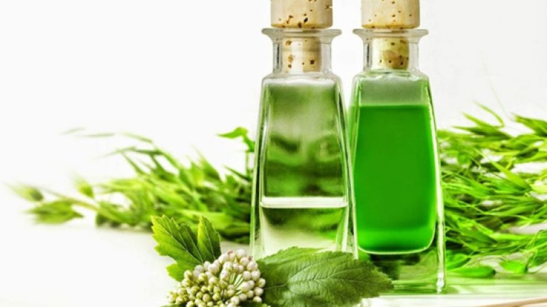 زيت الكافور.. علاجك الناجع لإلتهابات الحلق