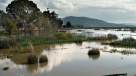 صفقة مشبوهة لتدمير حظيرة محمية عالميا