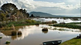 تونسيون يتبضعون ويستمتعون ببحيرات وشواطئ الطارف