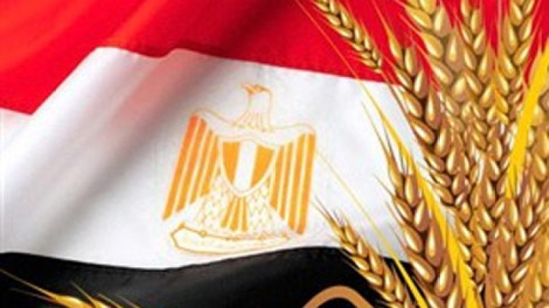 روسيا تناقش منح مصر مساعدات من القمح