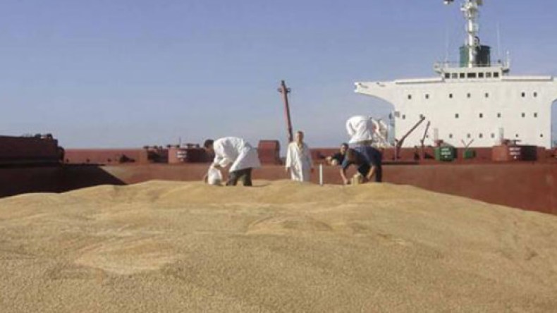 الجزائر استوردت 368 ألف طن من القمح الفرنسي