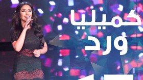 هذا ما كتبه وائل كفوري لكاميليا على “تويتر”؟