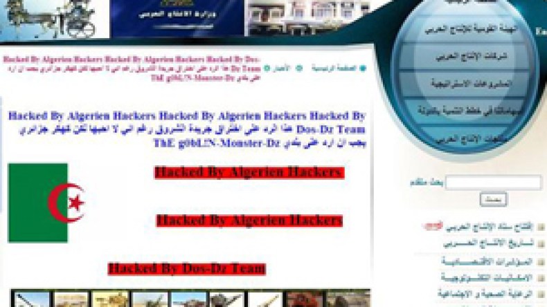 قرصان جزائري يخترق وزارة الإنتاج الحربي المصرية!