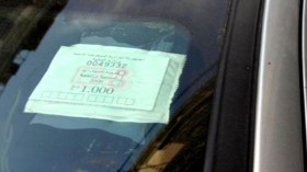 “حُڤرة” للحوت الصغير