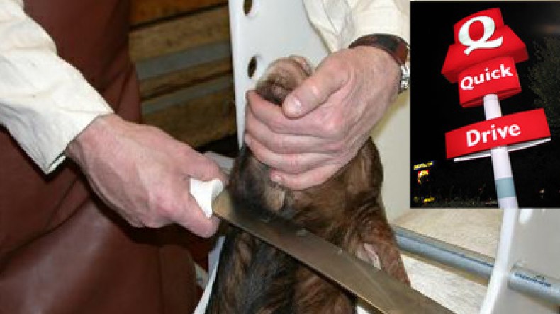 حملة فرنسية لحرمان المسلمين من اللحم الحلال