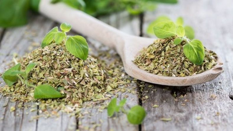 البردقوش وما أدراك ما البردقوش!