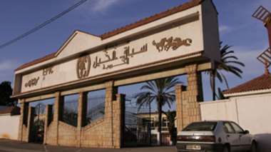 5 000 milliards de centimes de pertes à la Société des Courses Hippiques et du Pari Mutuel