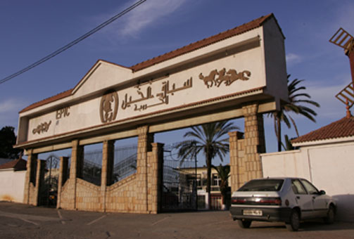 5 000 milliards de centimes de pertes à la Société des Courses Hippiques et du Pari Mutuel