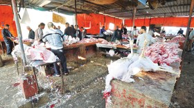 مسلخ “مقطع خيرة”… القذارة للبيع!