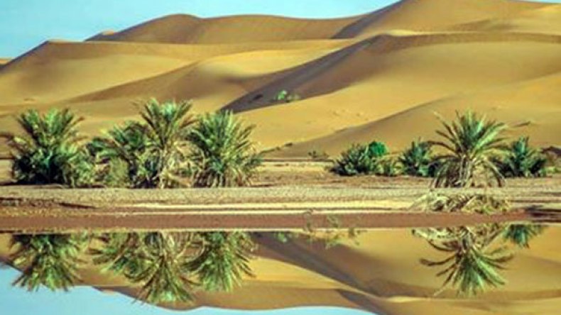 الإدارة تعترف: “النظام العرفي في تسيير صحراء النمامشة
