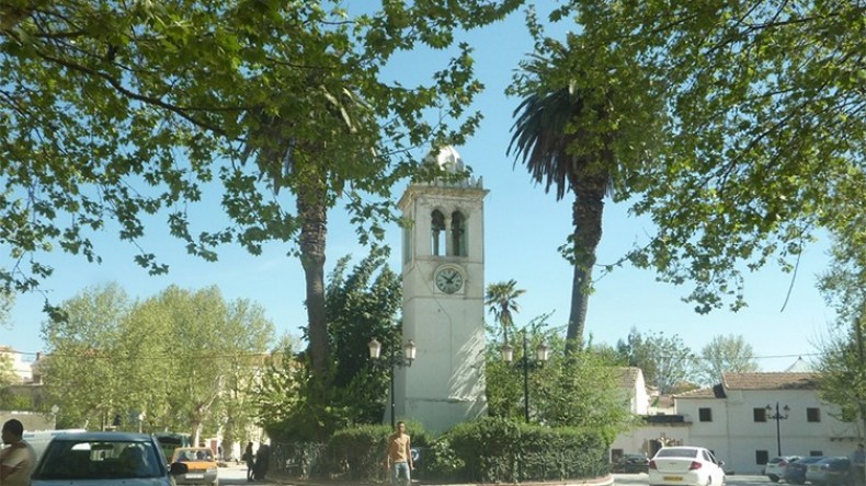 “مير” مليانة يعلن إجراءات لإسترجاع أراض لفائدة المواطنين