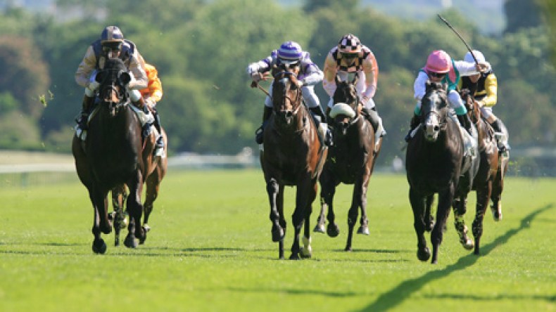 ‭”‬علي‮ ‬بابا‮ ‬و‮”‬أريحا‮” ‬خيول‮ ‬تلهب‮ ‬مزاد‮ ‬القمار‮ ‬لربح‮ ‬100‮ ‬مليون