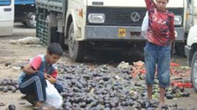 UNICEF report denounces childrenâ€™s conditions in Algeria