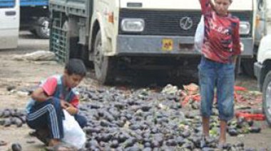 UNICEF report denounces childrenâ€™s conditions in Algeria