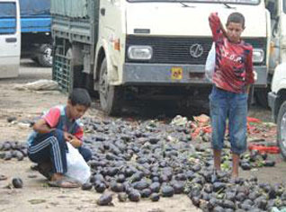 UNICEF report denounces childrenâ€™s conditions in Algeria