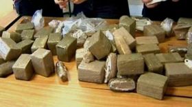 Mascara: 31 kg de kif traité saisis