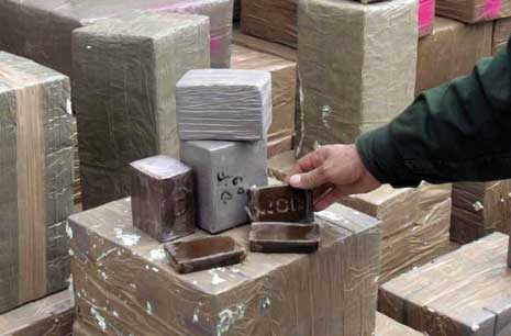 Tlemcen : 3 tonnes de kif traité saisies