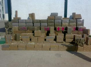 30 quintaux de kif récupérés à Tindouf et Temouchent