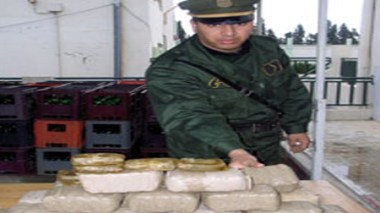 Mise en échec de deux tentatives d’introduction de plus de 41 quintaux de kif à Tlemcen
