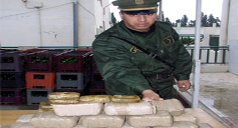 Mise en échec de deux tentatives d’introduction de plus de 41 quintaux de kif à Tlemcen