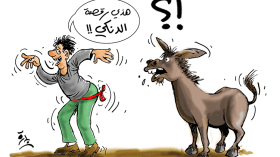 عدوى “شيغي” التي هزت البطن والخصر في كل أنحاء العالم