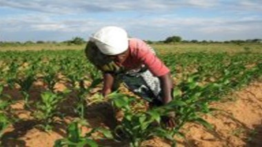 L’ONUDI lance un appel pour la diversification économique de l’Afrique