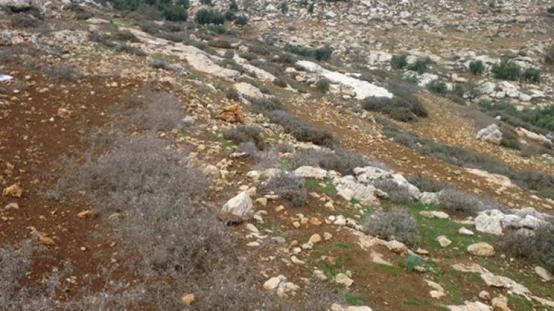 أسلاك قاتلة ومياه مالحة بأراض خصبة في الطيبات