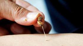 المٌتحسّسون من لسعات النحل يطالبون بحٌقن