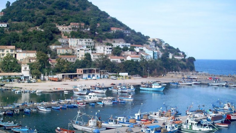 حبس مروج المخدرات على مستوى ميناء القل