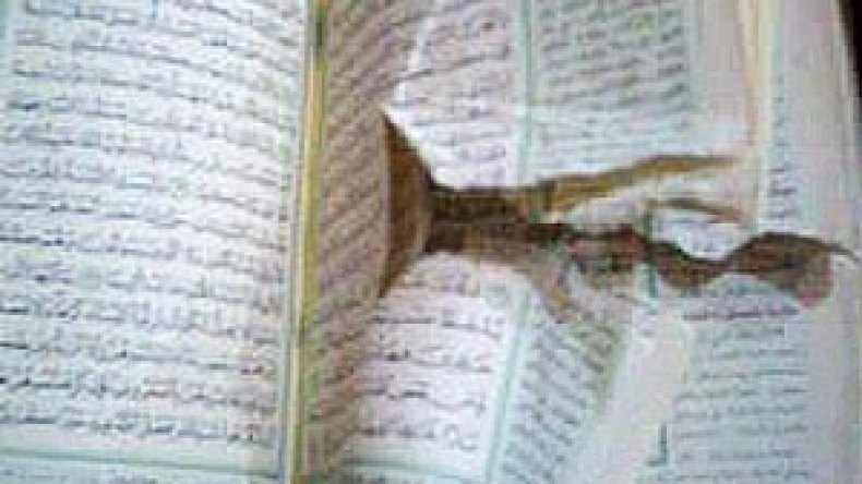 10 سنوات سجنا لسجينة دنست القرآن ببسكرة