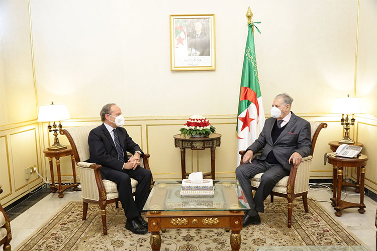 Three Assignments By New Italian Ambassador To Algeria Within A Week