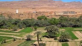 مطالب بالإسراع في توزيع الأراضي ببلدية بنورة بغرداية