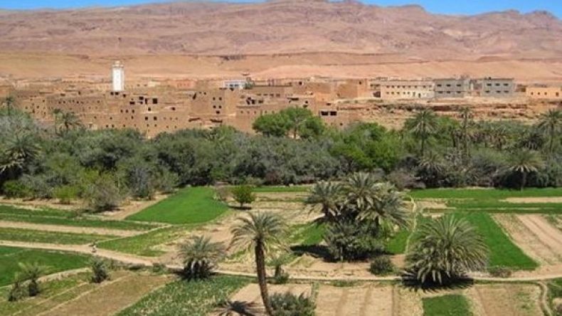 مطالب بالإسراع في توزيع الأراضي ببلدية بنورة بغرداية