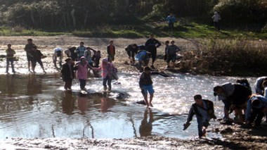 Des élèves bravent tous les dangers pour aller à l’école !