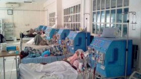 60 بالمائة من مرضى القصور الكلوي في الجزائر نساء!