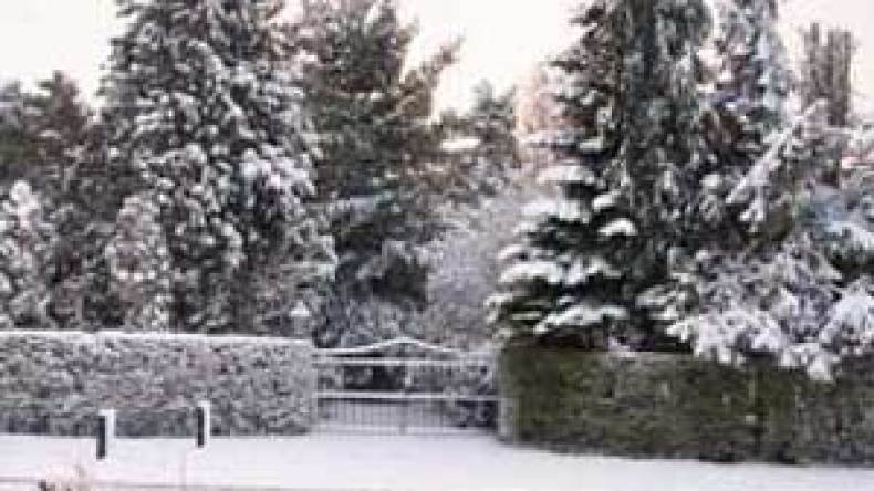 تحسن تدريجي وأجواء مشمسة يومي العيد