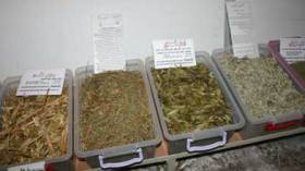 الجزائريون يقبلون على محلات الأعشاب الطبية بعد يأسهم من الطب الحديث