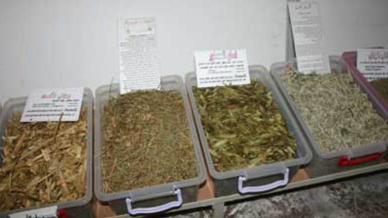 الجزائريون يقبلون على محلات الأعشاب الطبية بعد يأسهم من الطب الحديث