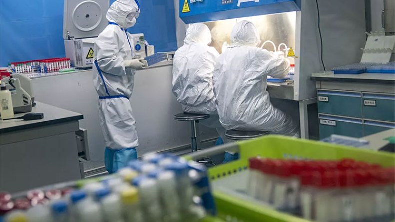الجزائر لا تملك مخابر تسمح بأبحاث لقاح كورونا