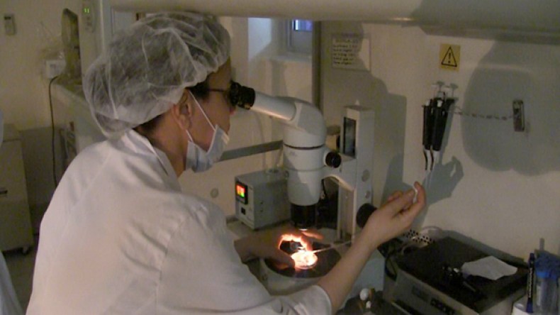 مليونا زوج جزائري يبحثون عن الإنجاب في المخابر الطبية